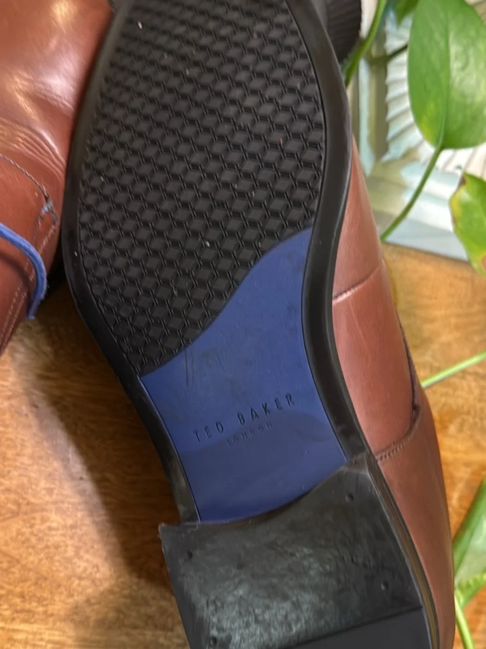 Ted Baker Brown Leather Derbys with Blue Detailing